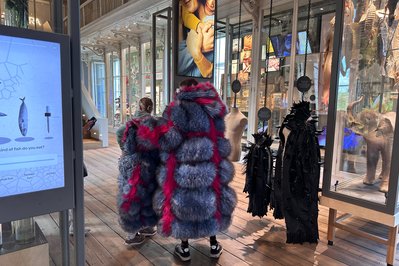 ARTIS – Groote Museum in Amsterdam, Netherlands – Museum Information gallery image