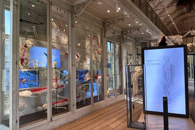 ARTIS – Groote Museum in Amsterdam, Netherlands – Museum Information gallery image