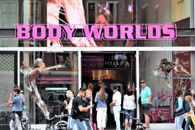 BODY WORLDS Amsterdam in Amsterdam, Netherlands – Museum Information gallery image