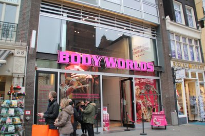 BODY WORLDS Amsterdam in Amsterdam, Netherlands – Museum Information gallery image