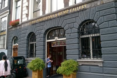Cannabis Museum Amsterdam in Amsterdam, Netherlands – Museum Information gallery image