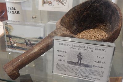 Cannabis Museum Amsterdam in Amsterdam, Netherlands – Museum Information gallery image