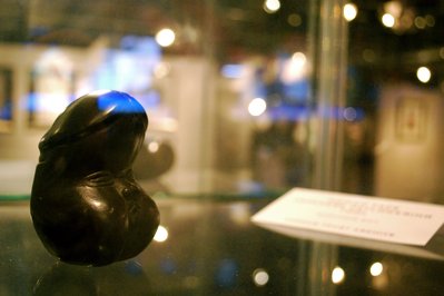 Erotic Museum in Amsterdam, Netherlands – Museum Information gallery image