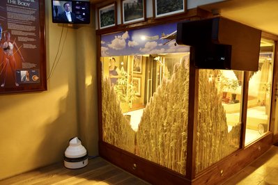 Hash Marihuana & Hemp Museum in Amsterdam in Amsterdam, Netherlands – Museum Information gallery image