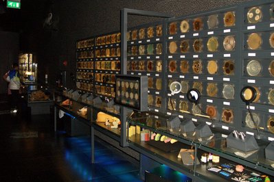 Micropia in Amsterdam, Netherlands – Museum Information gallery image