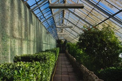 Palm Greenhouse in Amsterdam, Netherlands – Museum Information gallery image