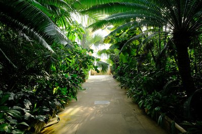 Palm Greenhouse in Amsterdam, Netherlands – Museum Information gallery image