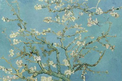 Van Gogh Museum in Amsterdam, Netherlands – Museum Information gallery image