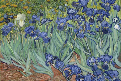Van Gogh Museum in Amsterdam, Netherlands – Museum Information gallery image