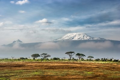 De Kilimanjaro in Rotterdam, Netherlands – Museum Information gallery image