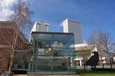 Natural History Museum Rotterdam in Rotterdam, Netherlands – Museum Information gallery image