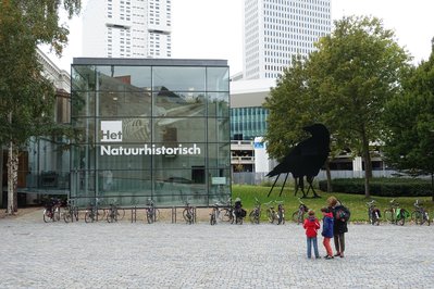 Natural History Museum Rotterdam in Rotterdam, Netherlands – Museum Information gallery image