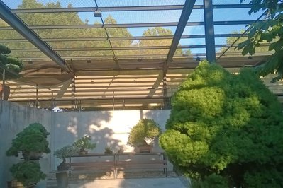 Jardin Del Bonsai in Boquete, Panama – Museum Information gallery image