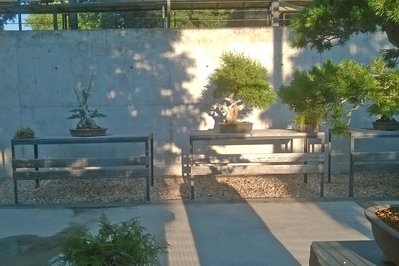 Jardin Del Bonsai in Boquete, Panama – Museum Information gallery image