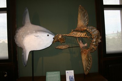 Mola Museum in Panama City, Panama – Museum Information gallery image