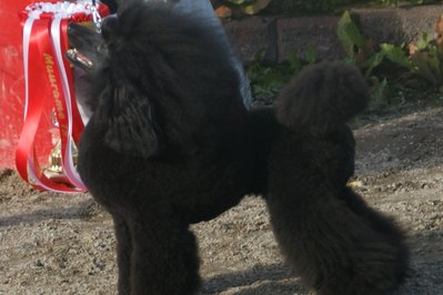 CANICHE in Apurimac, Peru – Museum Information gallery image