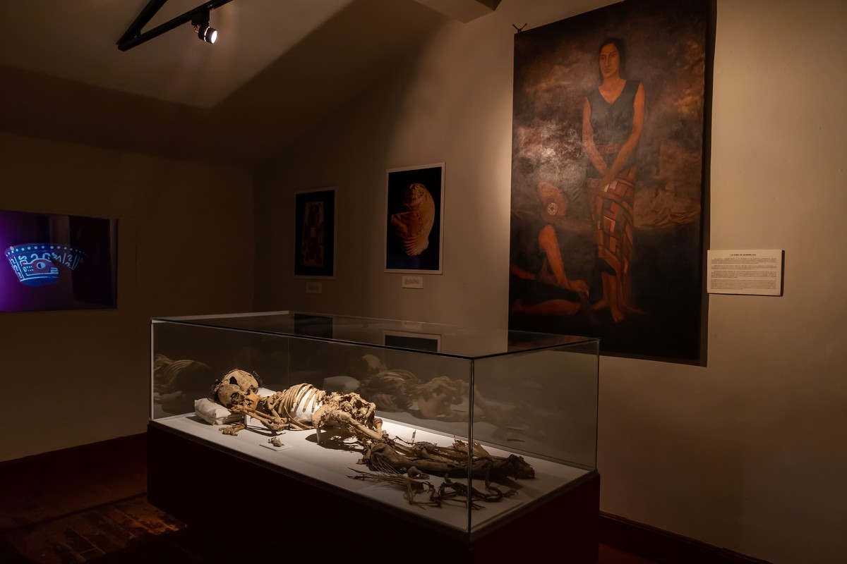 Museo de Sitio Wari in Ayacucho, Peru – Museum Information