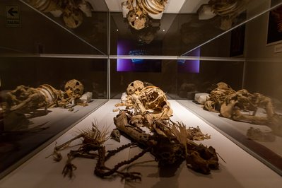 Museo de Sitio Wari in Ayacucho, Peru – Museum Information gallery image