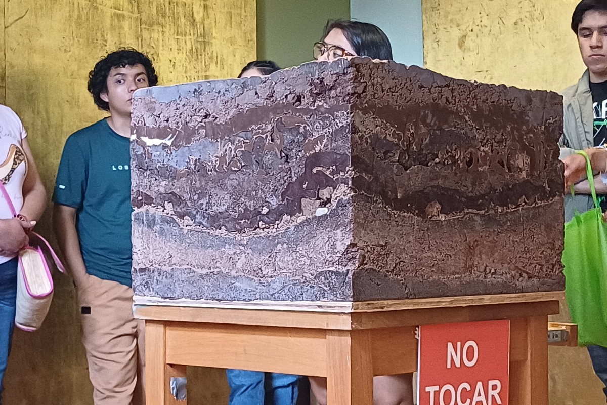 Museo del Chocolate in Ayacucho, Peru – Museum Information