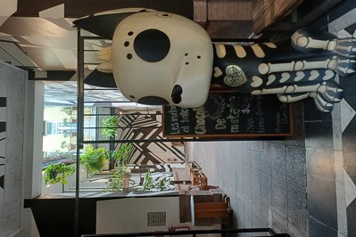 Museo del Chocolate in Ayacucho, Peru – Museum Information gallery image