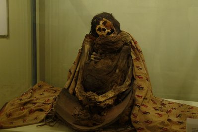 Regional Museum of Ica Adolfo Bermúdez Jenkins in Ica, Peru – Museum Information gallery image