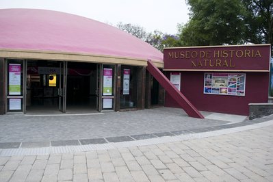 Museo de Historia Natural in Lima, Peru – Museum Information gallery image