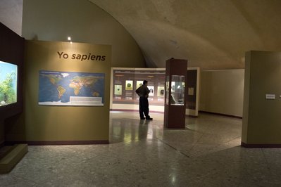 Museo de Historia Natural in Lima, Peru – Museum Information gallery image