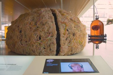 Museo del Cerebro in Lima, Peru – Museum Information gallery image