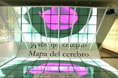 Museo del Cerebro in Lima, Peru – Museum Information gallery image
