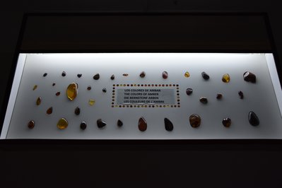 Museo Santo Domingo in Lima, Peru – Museum Information gallery image