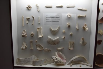 Museo Santo Domingo in Lima, Peru – Museum Information gallery image