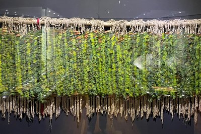 Museo Amazónico in Iquitos, Peru – Museum Information gallery image