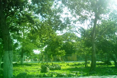 CANCHA DE SANTA MARIA in Puerto Maldonado, Peru – Museum Information gallery image