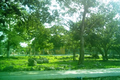 CANCHA DE SANTA MARIA in Puerto Maldonado, Peru – Museum Information gallery image