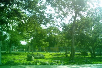 CANCHA DE SANTA MARIA in Puerto Maldonado, Peru – Museum Information gallery image