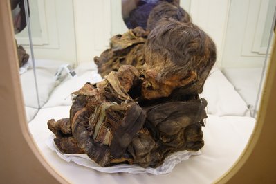 Museo Contisuyo in Ilo, Peru – Museum Information gallery image