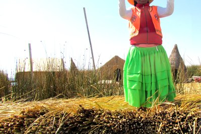 Isla de Juncos de los Uros in Lake Titicaca, Peru – Museum Information gallery image