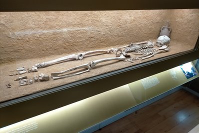 San Martin Regional Museum in Moyobamba, Peru – Museum Information gallery image