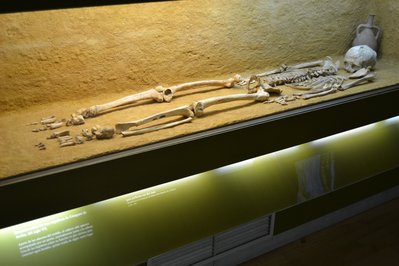 San Martin Regional Museum in Moyobamba, Peru – Museum Information gallery image