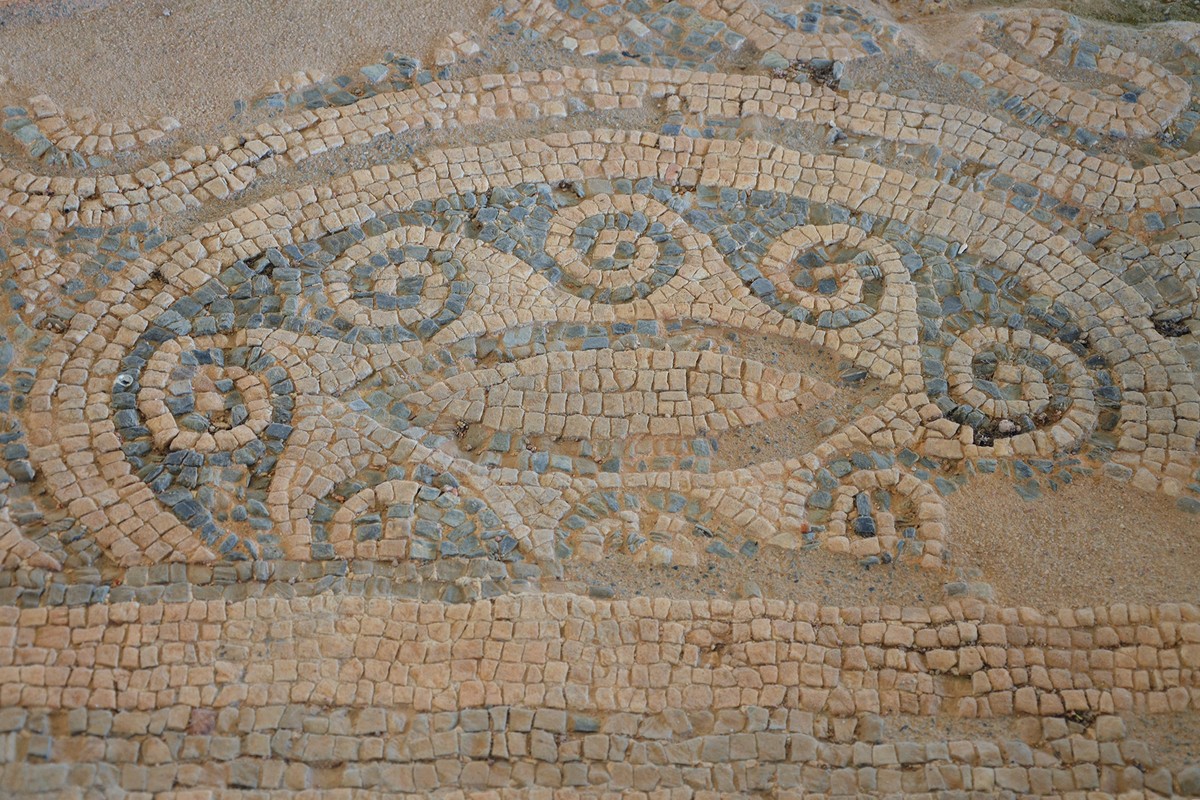 Villa Palma in San Martin, Peru – Museum Information