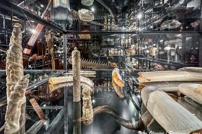 Museu de Lagos Dr. José Formosinho in Lagos, Portugal – Museum Information gallery image