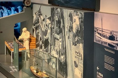 Museu de Portimão in Lagos, Portugal – Museum Information gallery image