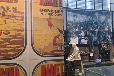 Museu de Portimão in Lagos, Portugal – Museum Information gallery image