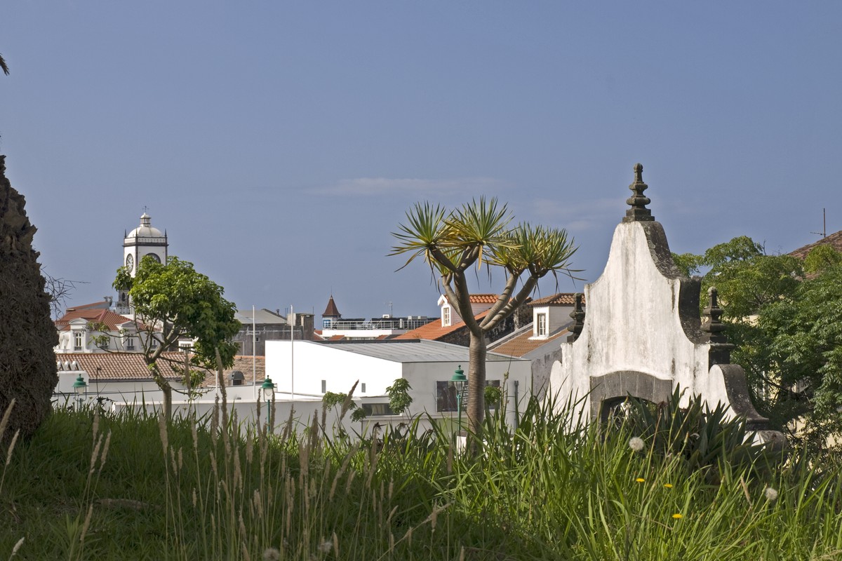 Museu Carlos Machado in Ponta Delgada, Portugal – Museum Information