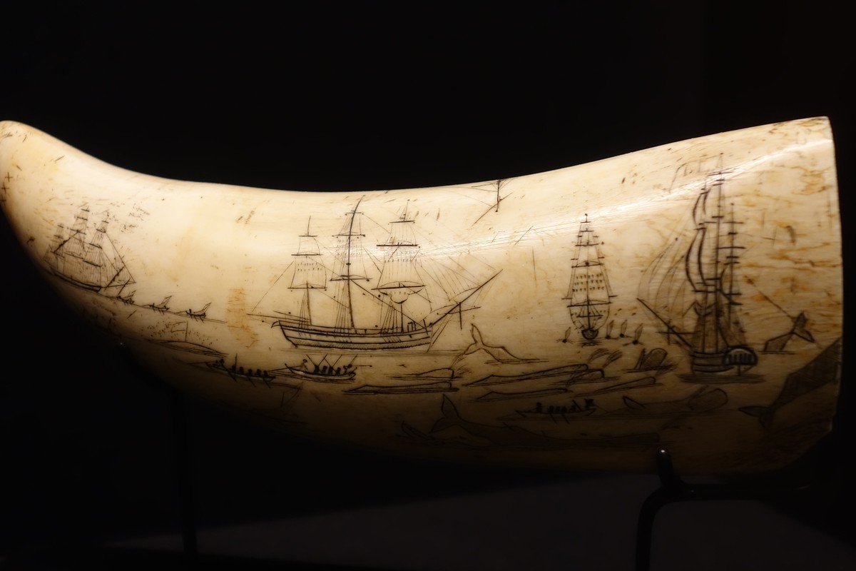 Scrimshaw museum in Azores, Portugal – Museum Information