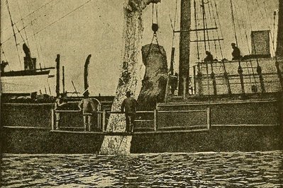 Whaling Industry Museum in Azores, Portugal – Museum Information gallery image