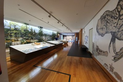 Museu de Leiria in Leiria, Portugal – Museum Information gallery image