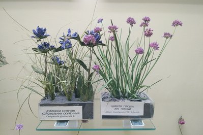 National Museum of Science & Natural History in Lisbon, Portugal – Museum Information gallery image