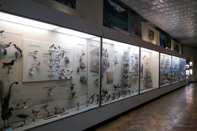 National Museum of Science & Natural History in Lisbon, Portugal – Museum Information gallery image
