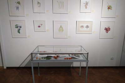 National Museum of Science & Natural History in Lisbon, Portugal – Museum Information gallery image